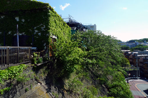 崖地、傾斜地、旗竿地、、、土地探し