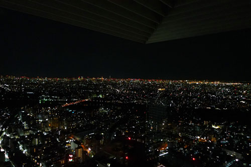 地上200mから東京を望む