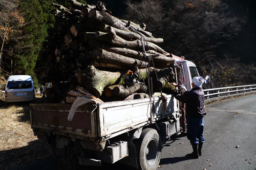 秩父の木　その1　キコリさん