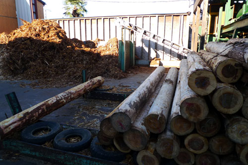 秩父の木　その2　製材所