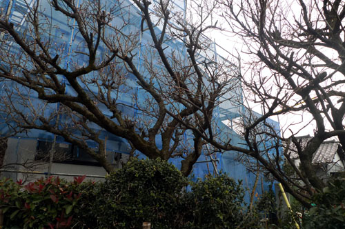 東松山の二世帯住宅　蕾