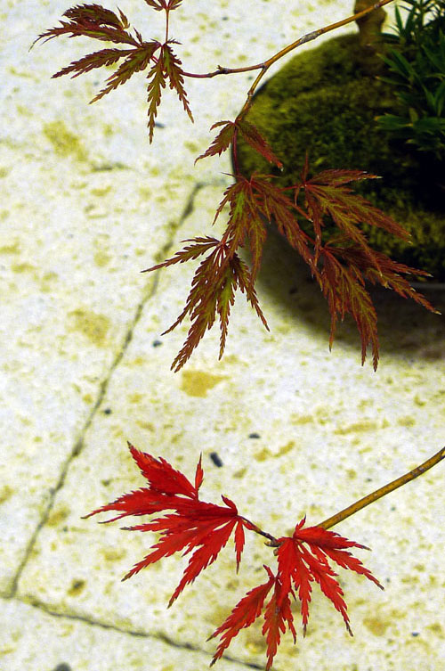 秋の夜長、楽しみ。